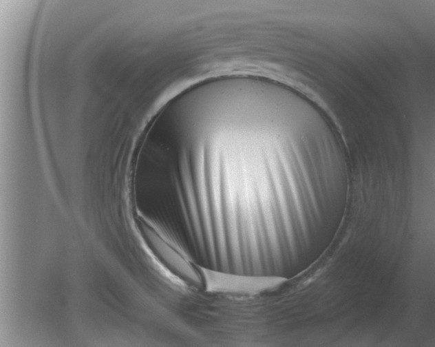 X0000080121525200612221818