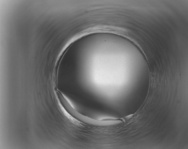 X0000080121531200612221818