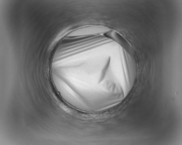 X0000080120005200612302022