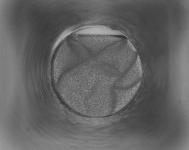 X0000080120006200612302022