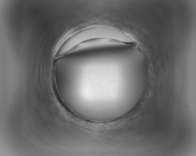 X0000080120007200612302022