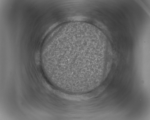 X0000080120012200612302022