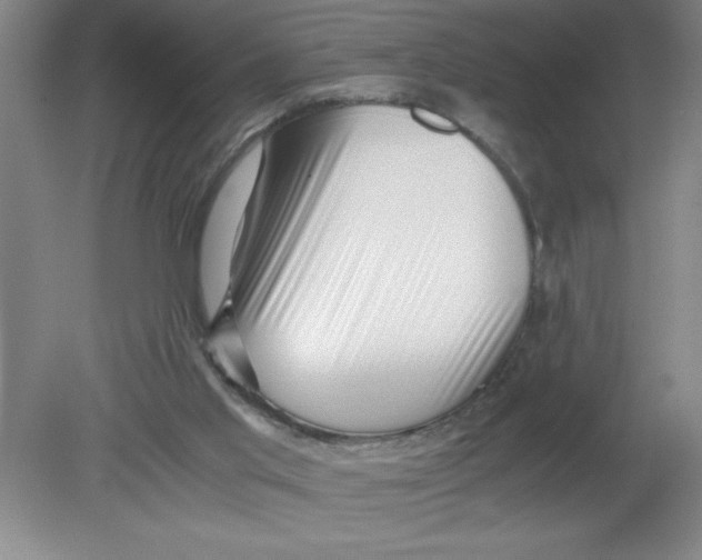 X0000080120013200612302022
