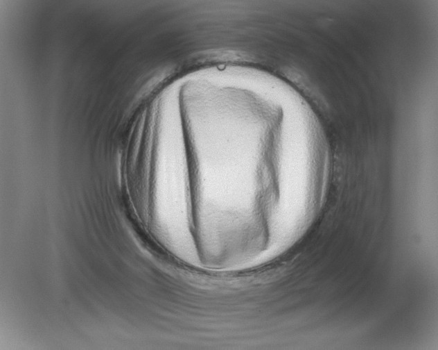 X0000080120014200612302022