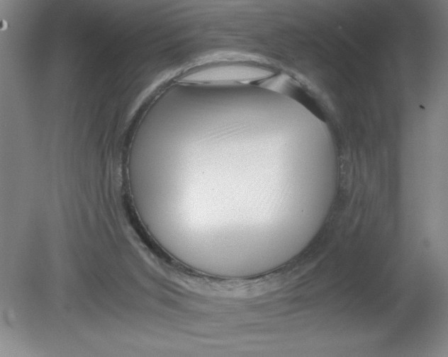 X0000080120015200612302022