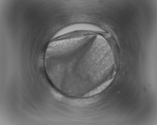X0000080120017200612302022