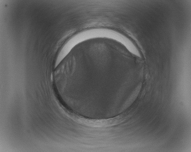 X0000080120019200612302022