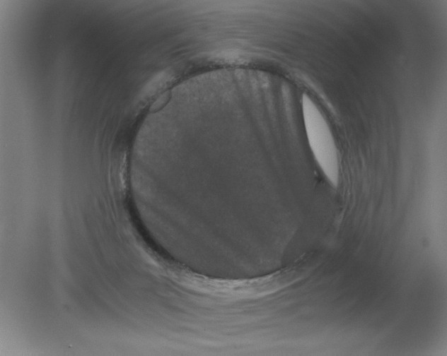 X0000080120023200612302022