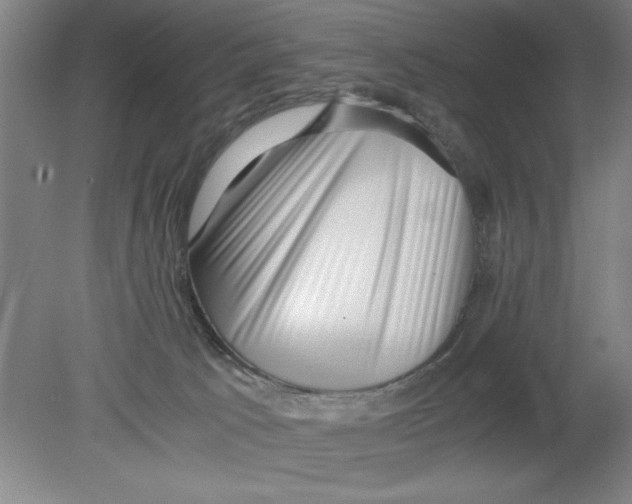X0000080120033200612302022