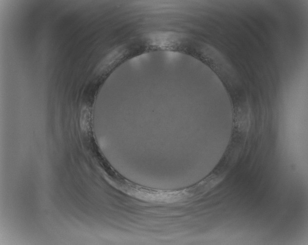 X0000080120036200612302022