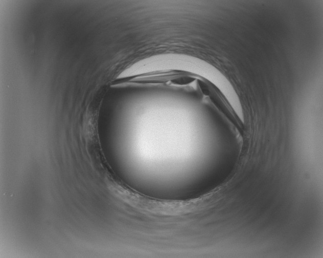 X0000080120037200612302022