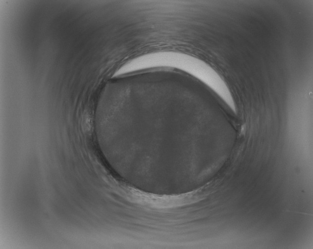 X0000080120039200612302021