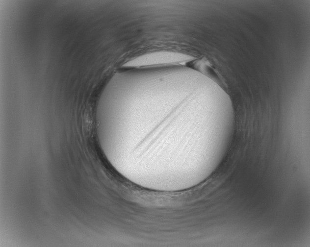 X0000080120040200612302021