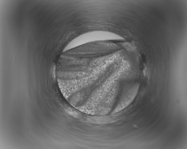 X0000080120041200612302021