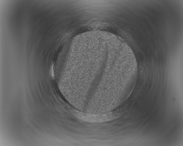 X0000080120042200612302021