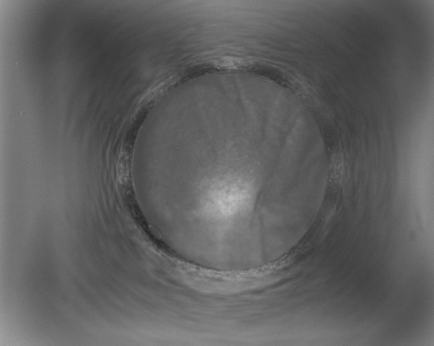 X0000080120043200612302021