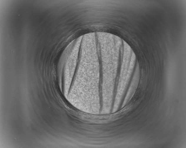 X0000080120048200612302021