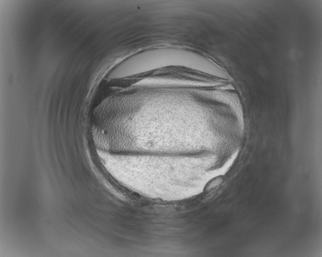X0000080120049200612302021