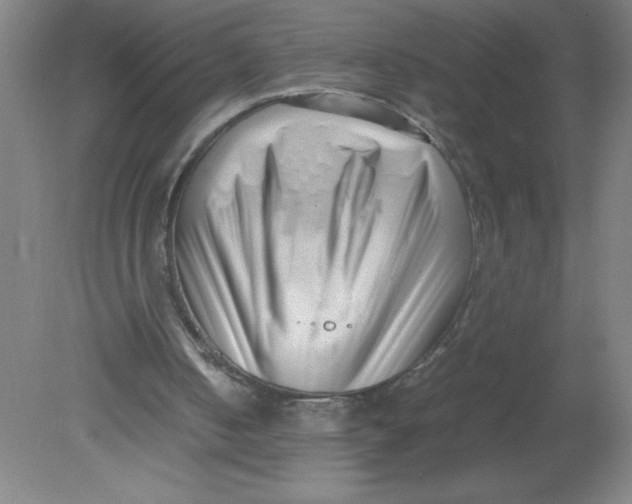 X0000080120050200612302021