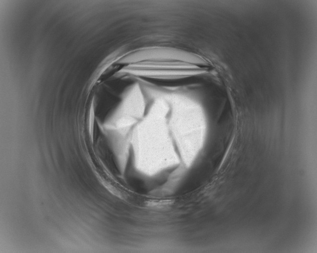 X0000080120051200612302021