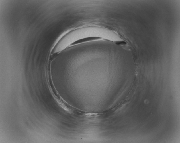 X0000080120052200612302021