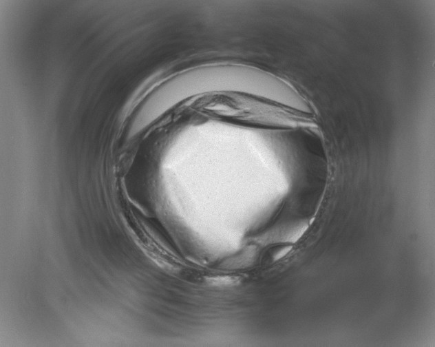 X0000080120053200612302021