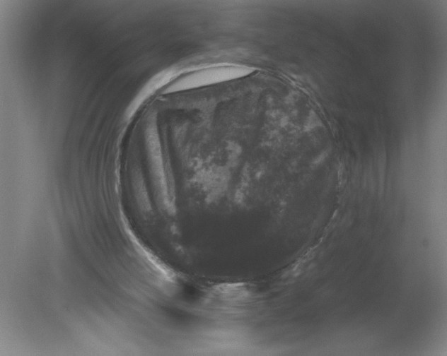 X0000080120054200612302021