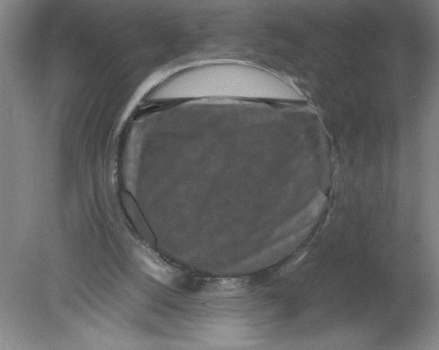 X0000080120056200612302021