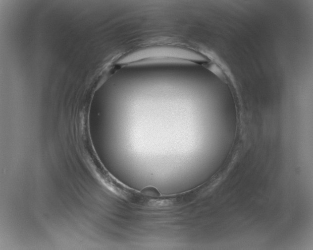 X0000080120057200612302021