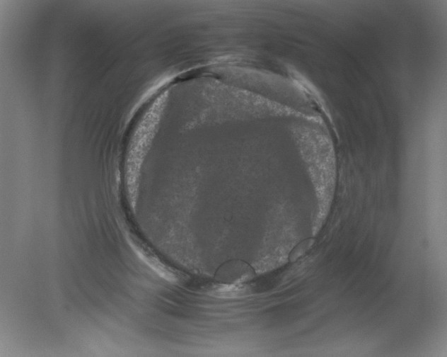 X0000080120059200612302021