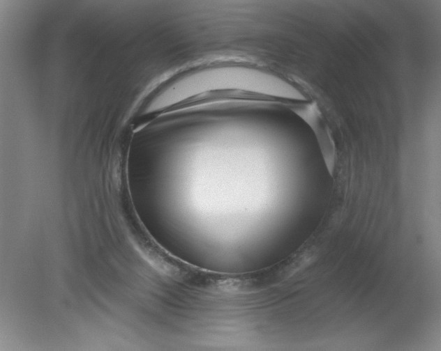 X0000080120064200612302021