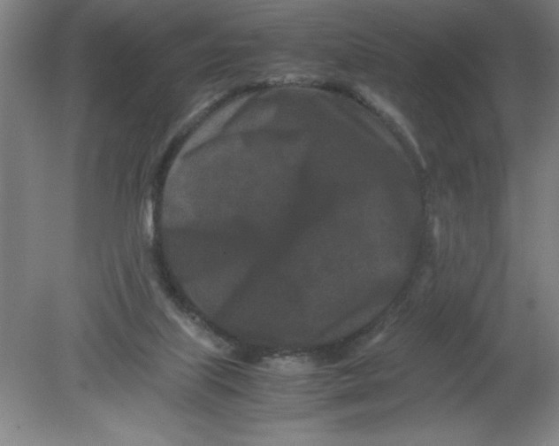X0000080120067200612302021