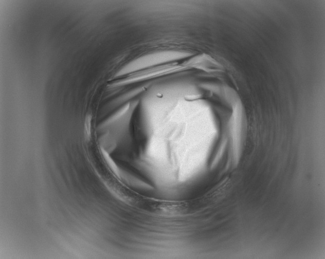 X0000080120070200612302021