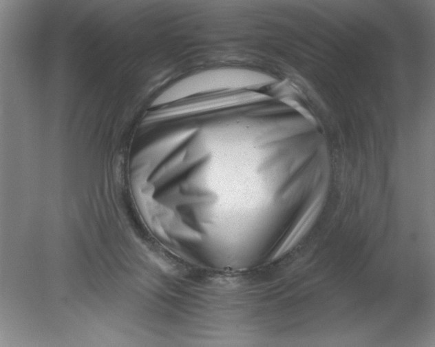 X0000080120071200612302021