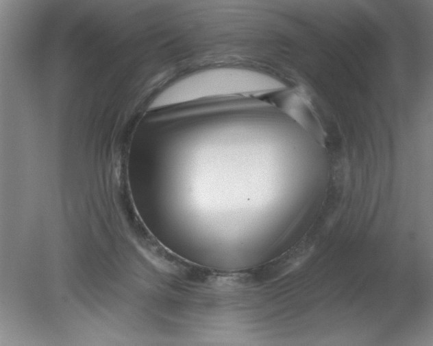 X0000080120072200612302021
