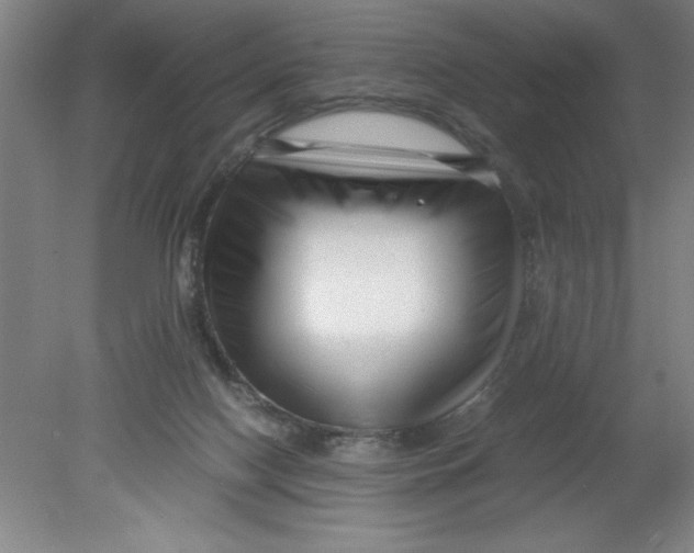 X0000080120074200612302021