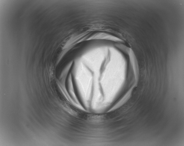 X0000080120081200612302021