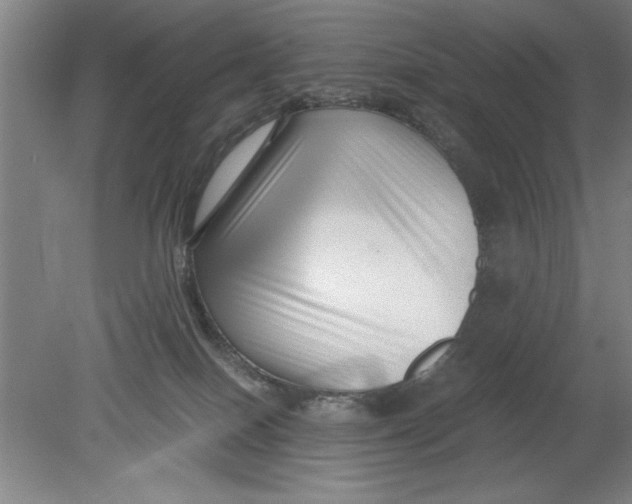 X0000080120086200612302021
