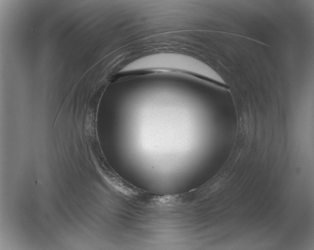 X0000080120092200612302021