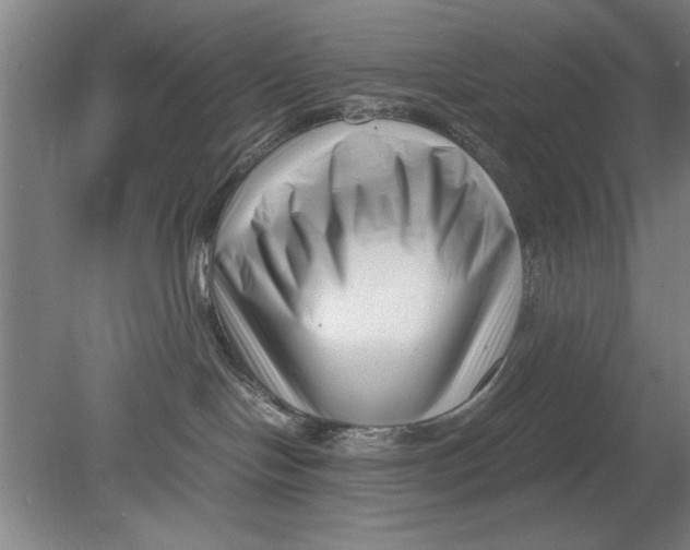X0000080120094200612302021