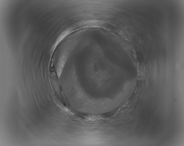 X0000080120099200612302020