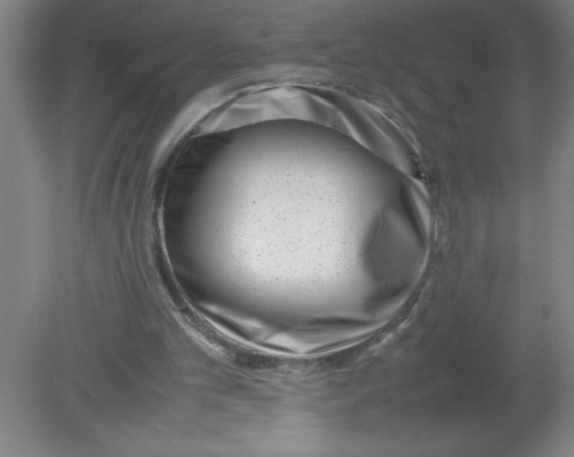 X0000080120101200612302020