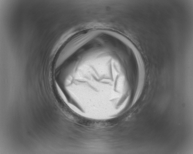 X0000080120103200612302020