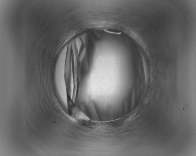 X0000080120105200612302020