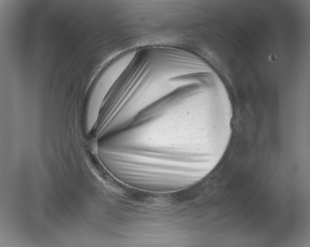 X0000080120107200612302020