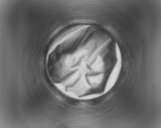X0000080120111200612302020