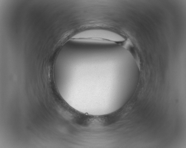 X0000080120115200612302020