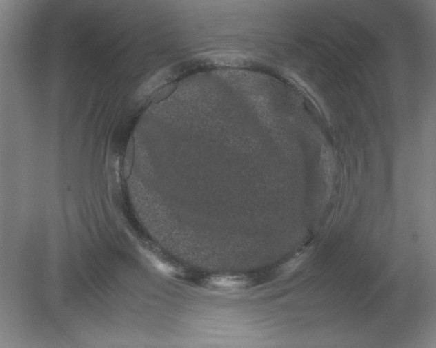 X0000080120117200612302020