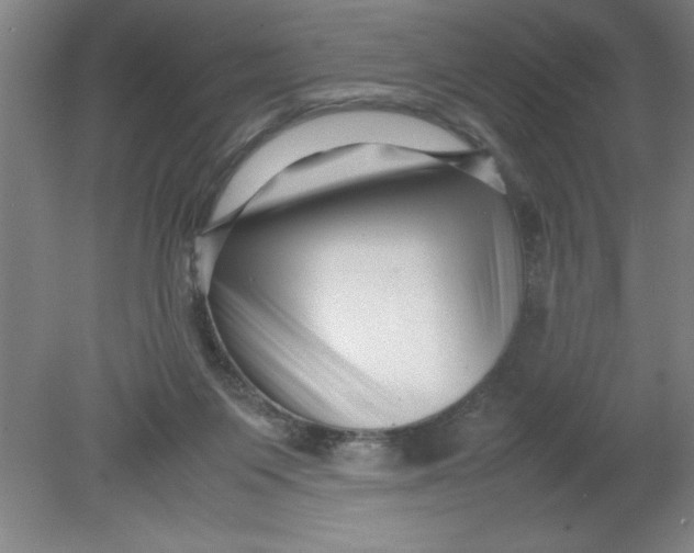 X0000080120119200612302020