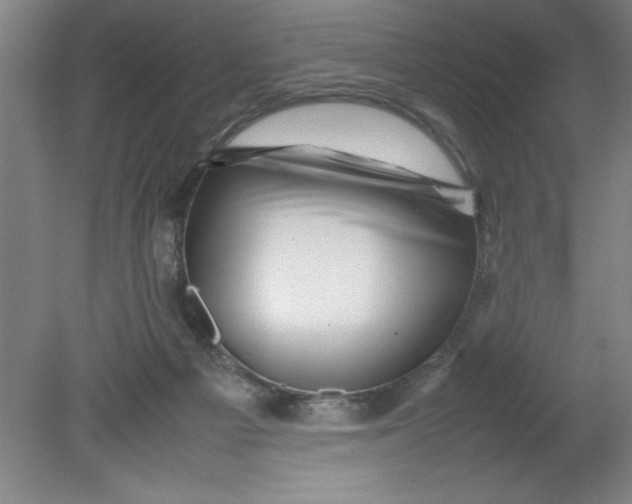 X0000080120121200612302020